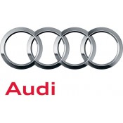 Audi (7)