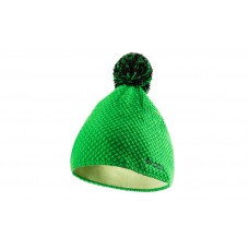Original Skoda Green winter cap
