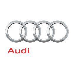 Audi Air freshener gecko black 000087009D Scent Woody